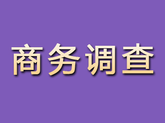 大邑商务调查